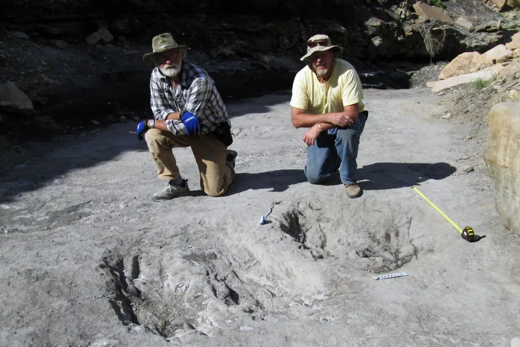 dino tracks
