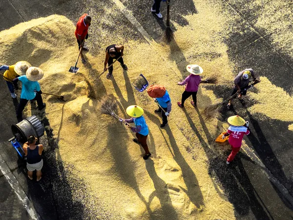 On the Grain-Drying Yard thumbnail