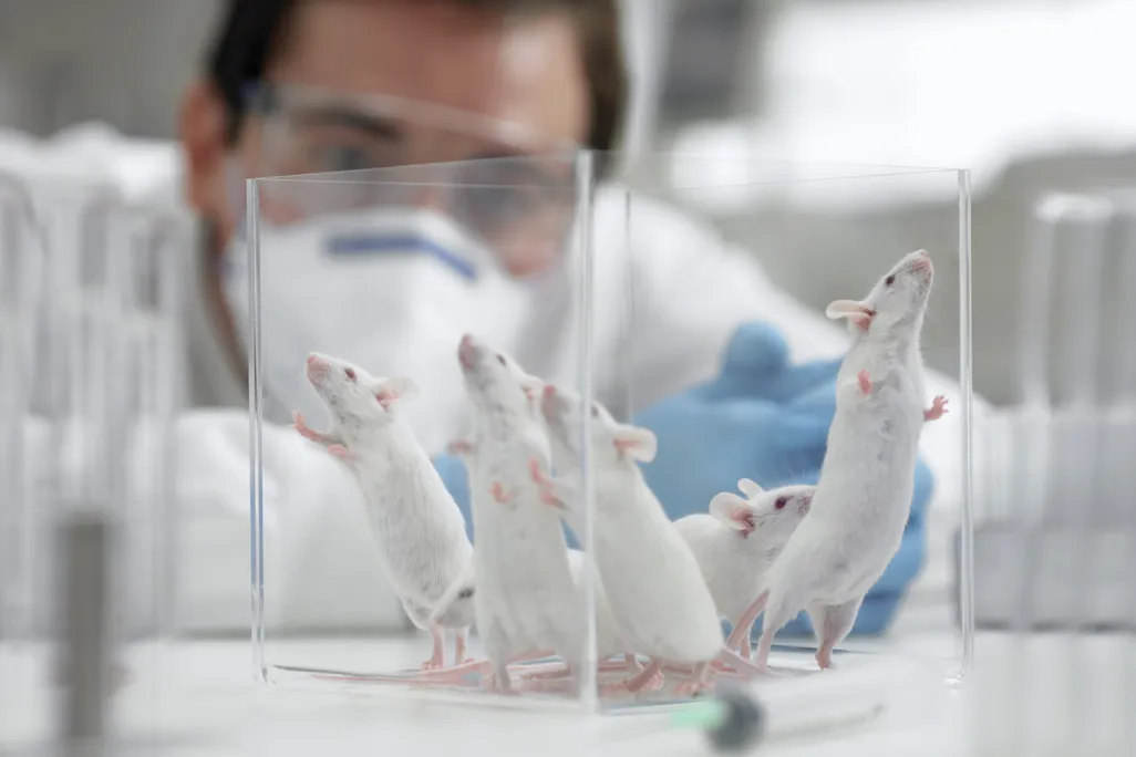 04_28_2014_mouse.jpg