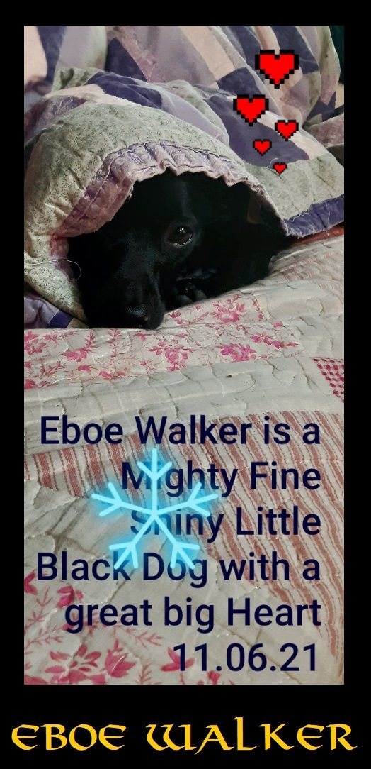 Eboe Walker thumbnail