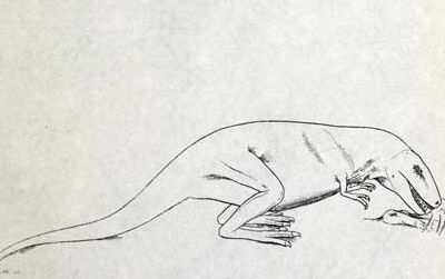 Gorgosaurus as envisioned by Lambe. Clockwise from the upper left - standing, sitting, in repose, and feeding.