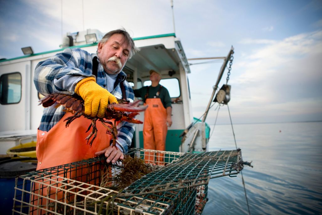 Lobster Fishing