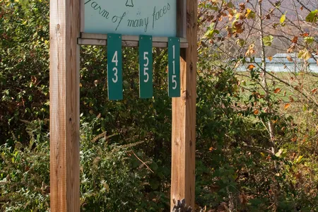 Polyface Farm