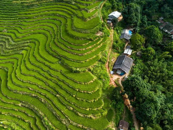 A House in the Terraces thumbnail