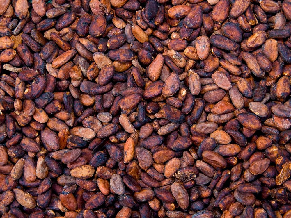 Cacao Beans