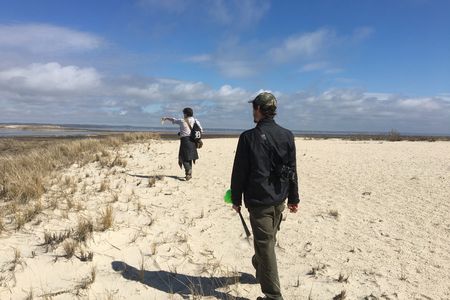 James Lendemer and doctoral student Jordan Hoffman search for rare lichen, some of the least studied organisms on earth.