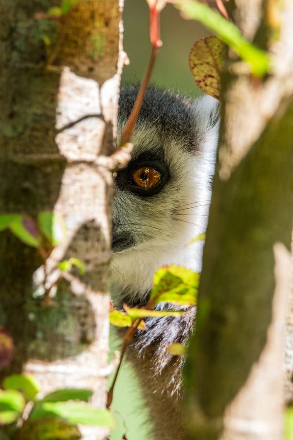 With one eye thumbnail