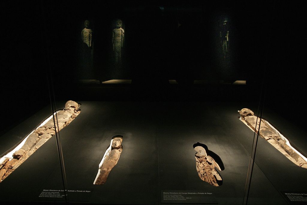 A group of mummies in northern Chile from between 5,000 and 7,000 years ago.