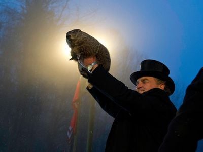 At Gobbler’s Knob, Punxsutawney Phil is proudly lifted like  Simba high overhead by his top-hatted Groundhog Club handler. Will it be six more weeks of winter or an early spring? Only the groundhog knows.