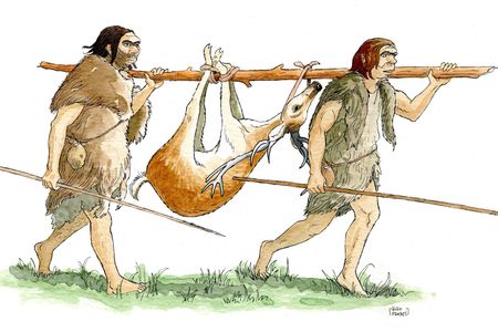 Neanderthals may have used wooden objects as hunting weapons, trays, plates and more.