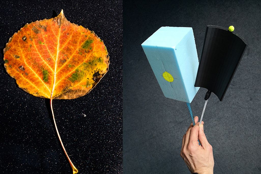 Aspen leaf energy harvester collage
