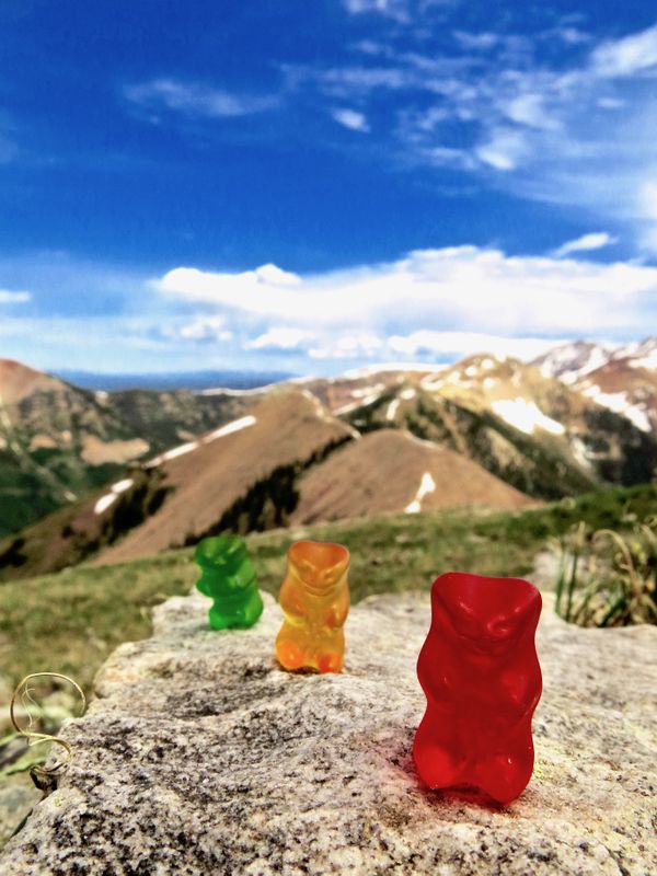 Gummie Bears on a trek thumbnail