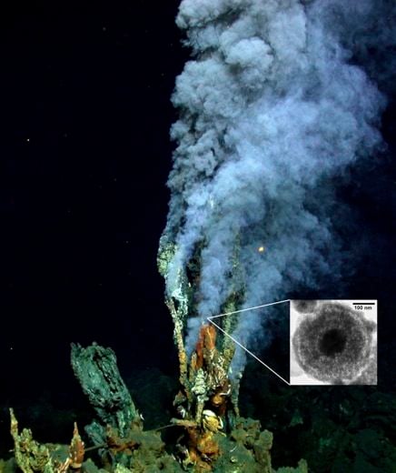 20110520102452pyrite_vent1_h.jpg