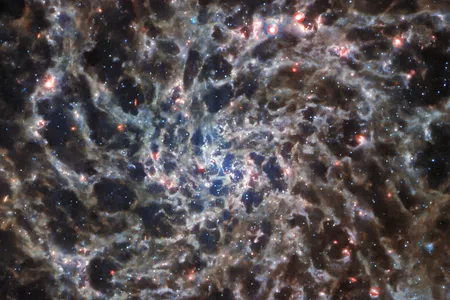 The&nbsp;spiral galaxy&nbsp;IC 5332, as captured by the James Webb Space Telescope&#39;s Mid-Infrared Instrument