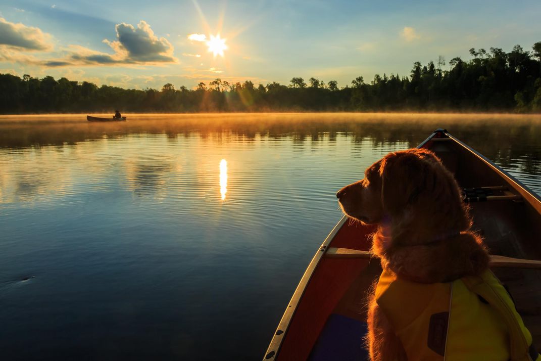 Canoe Country Golden Radiance Dawn LaPointe