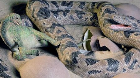 A restoration of the Cretaceous snake Sanajeh about to gulp down a baby sauropod.