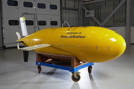 Boaty McBoatface. It is not a boat and it has no face. Please discuss.