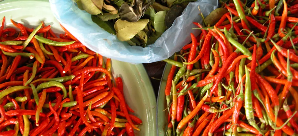  Chillis and kaffir lime leaves, essential ingredients in Thai cuisine 