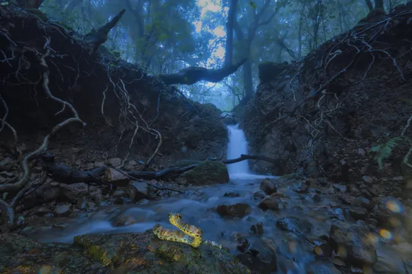 Guardian of the Falls thumbnail