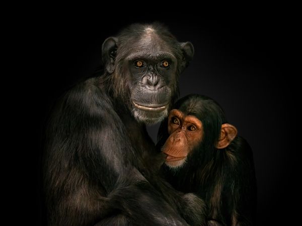 Mother and child thumbnail