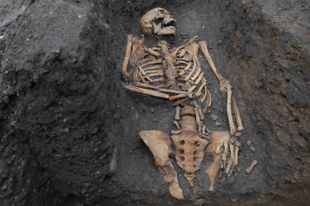 A skeleton surrounded by dark brown dirt and mud; the bones are arranged lying down with the head turned to one side, all yellowed