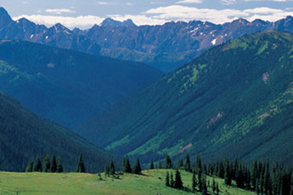 Paciofic Crest Trail