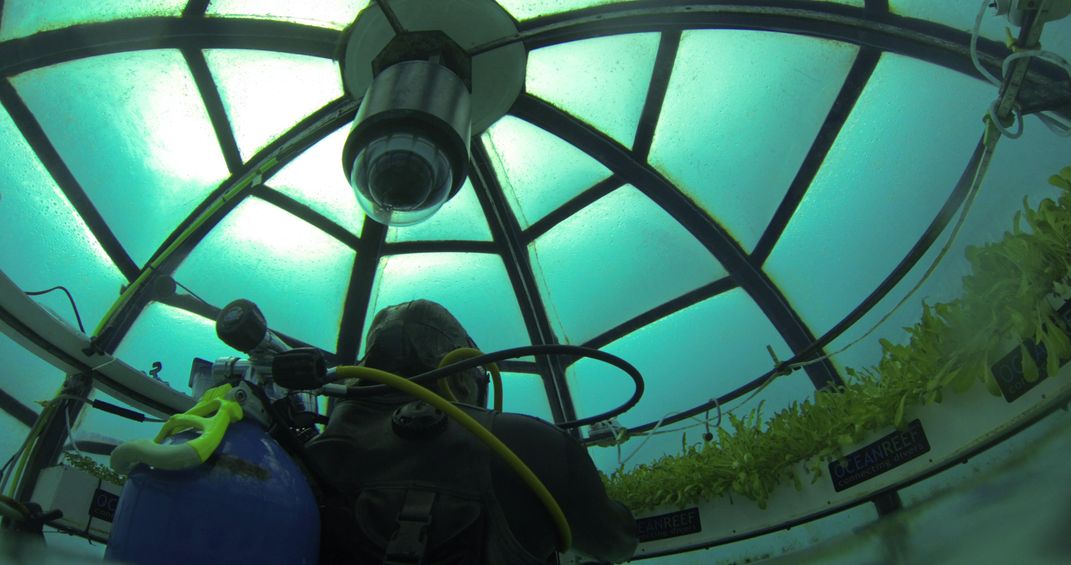 Off the Coast of Italy, Two Divers Are Building Underwater Greenhouses