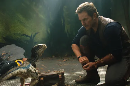 We now know that velociraptors were closer to dog-sized than horse-sized, meaning full-grown Blue should be closer to these dimensions. Also: FEATHERS.