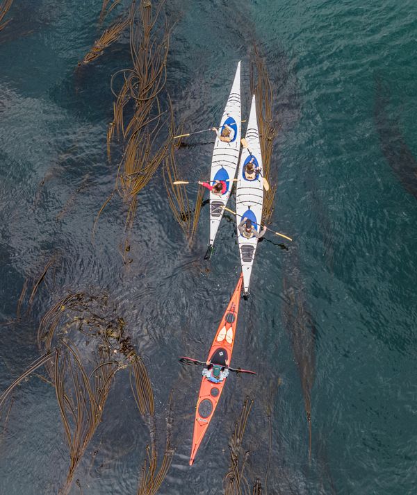 Kayakers at San Juan Island thumbnail