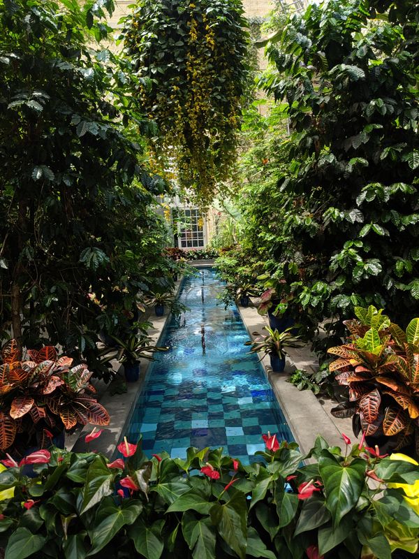 Botanic Garden Pool in Washington DC thumbnail