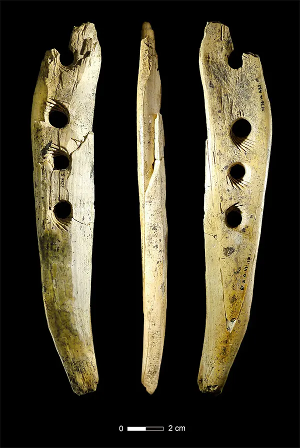 a narrow instrument of wood with three holes and one hole that's incomplete due to time damage, seen in three views