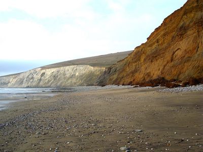 Shepherd Chine beach on the Isle of Wight, near where the footprint was discovered.