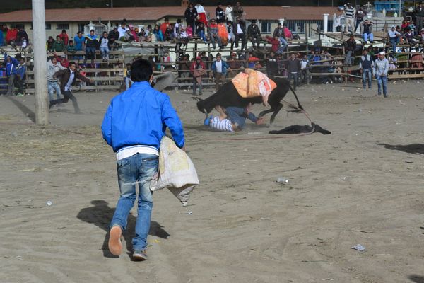 Andean-style bullfight in Zumbahua, Ecuador thumbnail