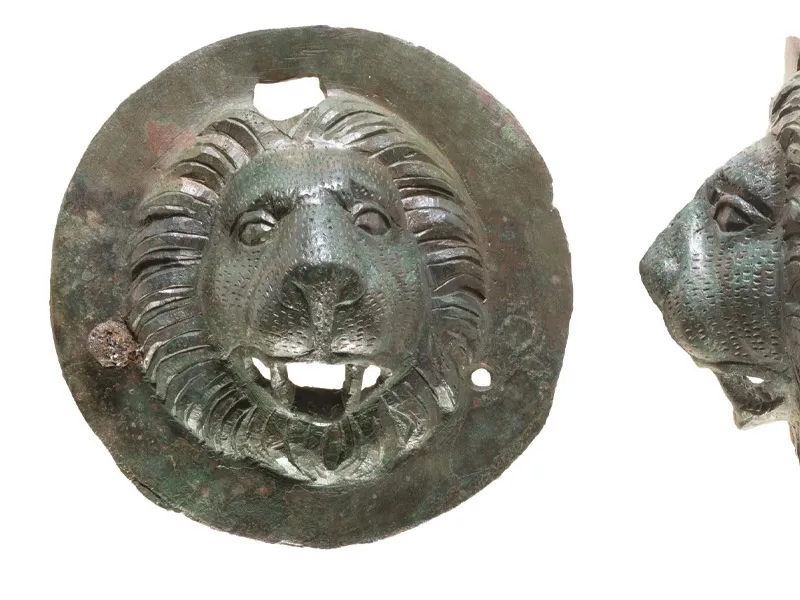 bronze lion head