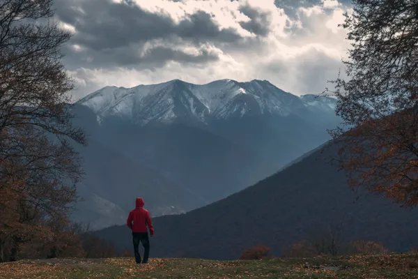 Jungle view thumbnail