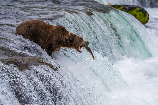 Patience Pays Off thumbnail