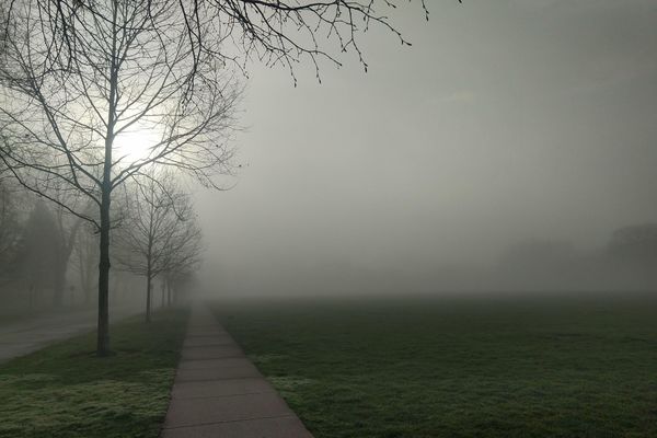 A Foggy Day in Evans-town thumbnail