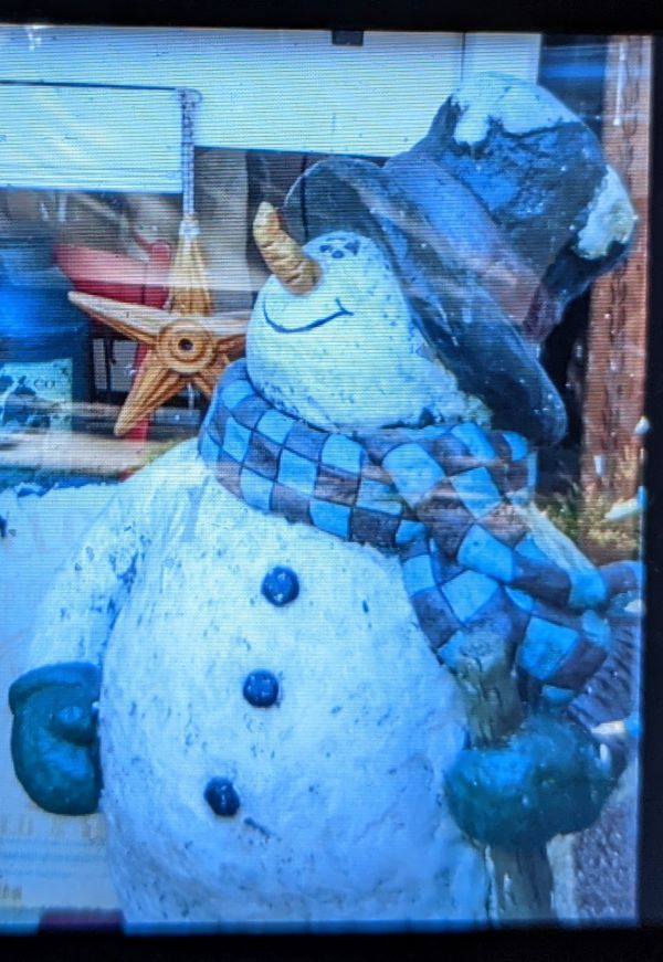 Happy Snowperson in Store Window thumbnail