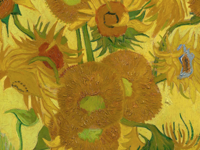 Some of Van Gogh's most iconic floral artworks, painted in 1888 and 1889, are facing the test of time.