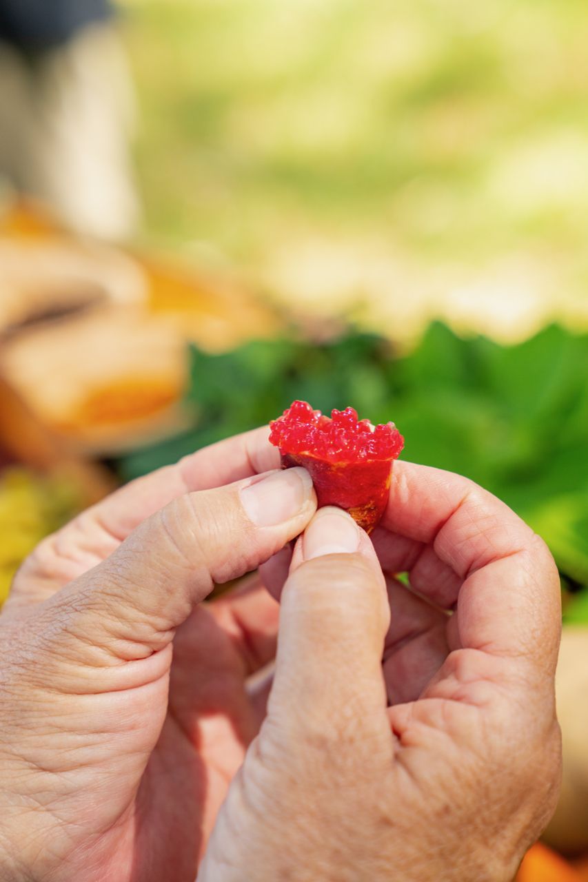 The Next Superfoods May Come From Australia