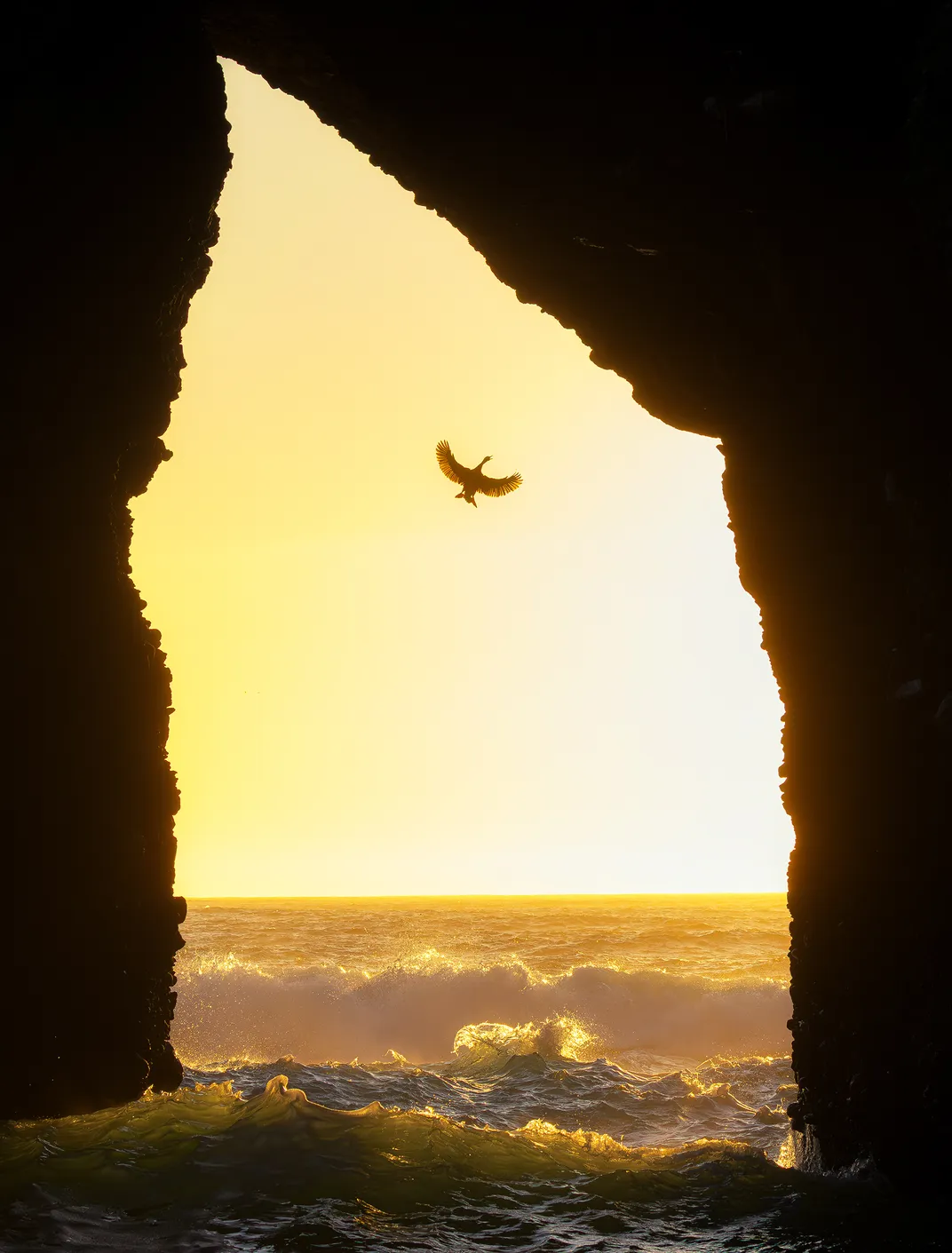 framed by tall rocks a single bird flies against the bright sun above crashing waves