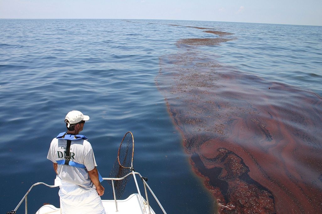 Surveying oiled sargassum