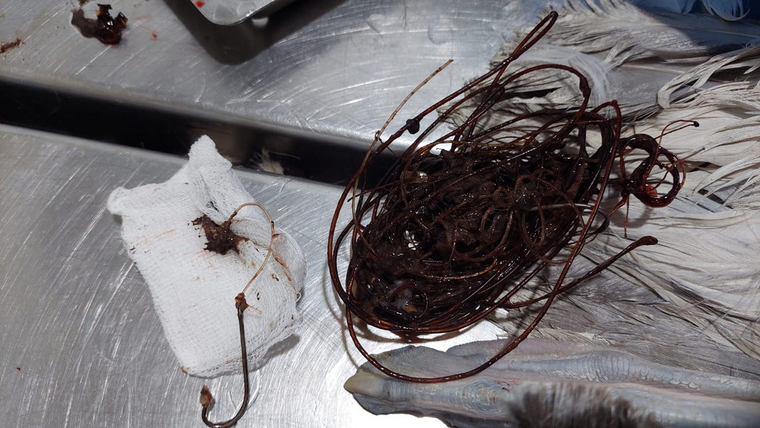 Fishing wire and hooks on a stainless steel table