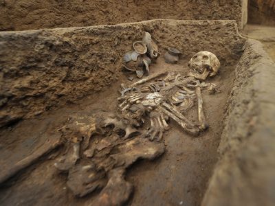 View of a skeleton reaching 6'2'' from a grave dating back to 5,000 years ago, at the excavation site of the Jiaojia ruins in Jiaojia village, Zhangqiu district of Ji'nan city, east China's Shandong province
