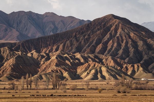 Kyrgyz Cowboy - Textured Earth thumbnail