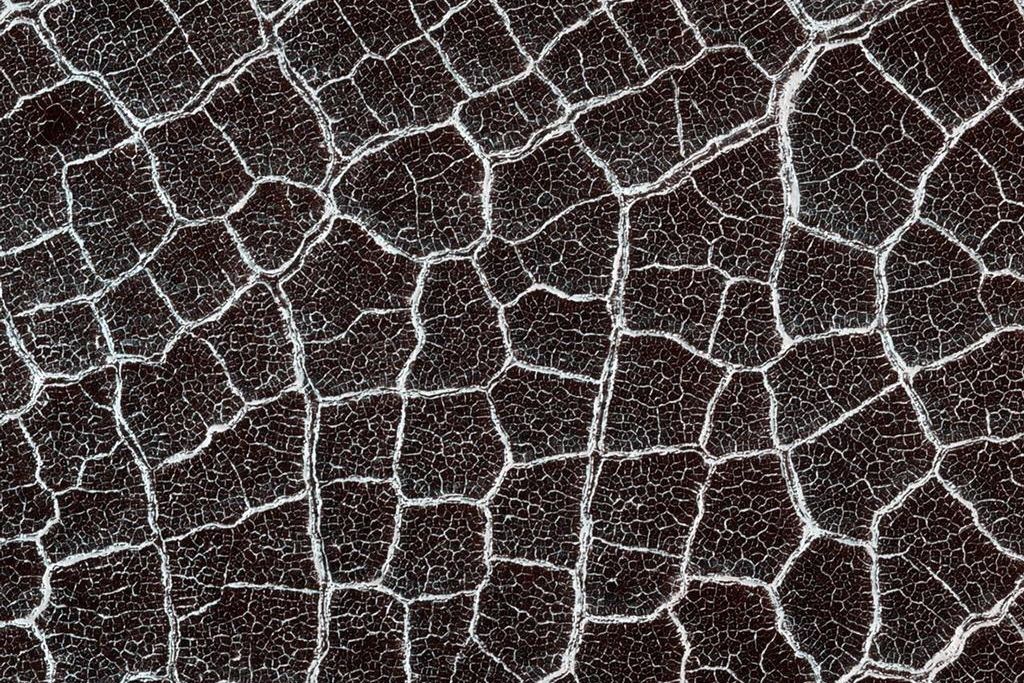Mars polygons.jpg