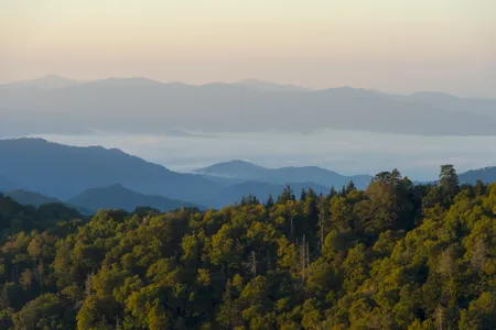 Great Smoky Mountains National Park, which stretches across North Carolina and Tennessee, was the most-visited park of 2023.