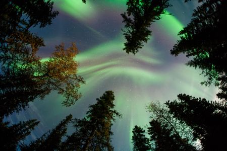 Curtains of light weave across the sky over Fairbanks, Alaska, on September 12.