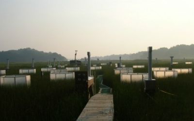 The Global Change Research Wetland at the Smithsonian Environmental Research Center