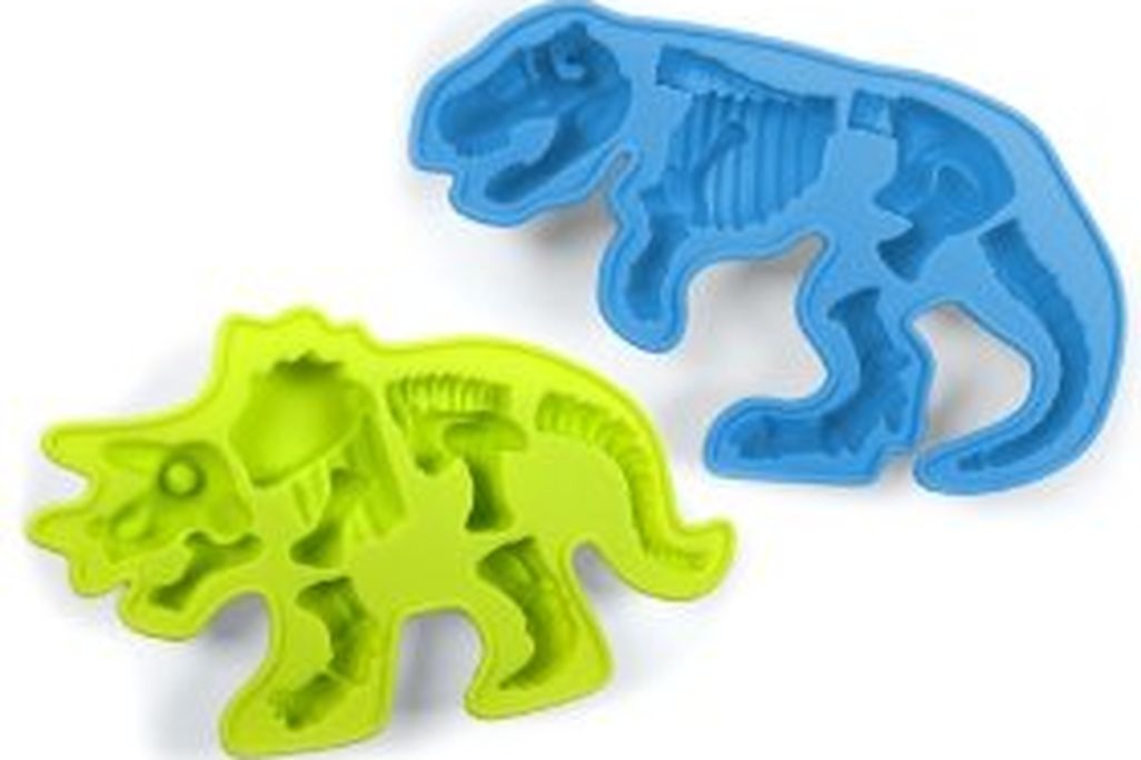 20110520083127fossiliced.jpg